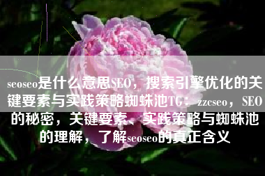 seoseo是什么意思SEO，搜索引擎优化的关键要素与实践策略蜘蛛池TG：zzcseo，SEO的秘密，关键要素、实践策略与蜘蛛池的理解，了解seoseo的真正含义