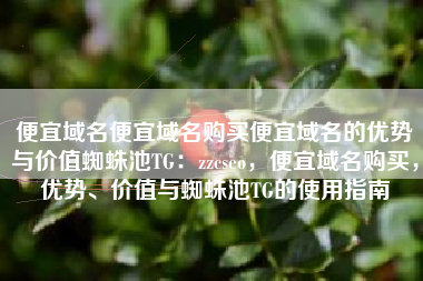 便宜域名便宜域名购买便宜域名的优势与价值蜘蛛池TG：zzcseo，便宜域名购买，优势、价值与蜘蛛池TG的使用指南
