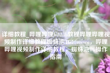 详细教程_哔哩哔哩bilibili教程哔哩哔哩视频制作详细教程蜘蛛池TG：zzcseo，哔哩哔哩视频制作详细教程，蜘蛛池TG操作指南