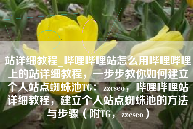 站详细教程_哔哩哔哩站怎么用哔哩哔哩上的站详细教程，一步步教你如何建立个人站点蜘蛛池TG：zzcseo，哔哩哔哩站详细教程，建立个人站点蜘蛛池的方法与步骤（附TG，zzcseo）