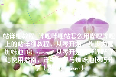 站详细教程_哔哩哔哩站怎么用哔哩哔哩上的站详细教程，从零开始，步步为营蜘蛛池TG：zzcseo，从零开始的哔哩哔哩站使用指南，详细教程与蜘蛛池技巧分享（附TG，zzcseo）