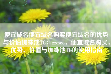 便宜域名便宜域名购买便宜域名的优势与价值蜘蛛池TG：zzcseo，便宜域名购买，优势、价值与蜘蛛池TG的使用指南