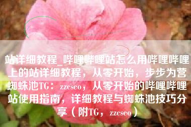 站详细教程_哔哩哔哩站怎么用哔哩哔哩上的站详细教程，从零开始，步步为营蜘蛛池TG：zzcseo，从零开始的哔哩哔哩站使用指南，详细教程与蜘蛛池技巧分享（附TG，zzcseo）