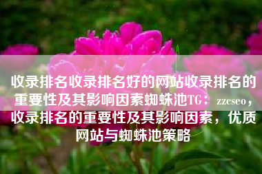 收录排名收录排名好的网站收录排名的重要性及其影响因素蜘蛛池TG：zzcseo，收录排名的重要性及其影响因素，优质网站与蜘蛛池策略