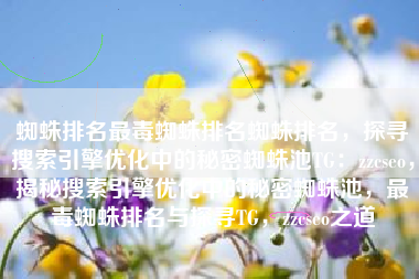 蜘蛛排名最毒蜘蛛排名蜘蛛排名，探寻搜索引擎优化中的秘密蜘蛛池TG：zzcseo，揭秘搜索引擎优化中的秘密蜘蛛池，最毒蜘蛛排名与探寻TG，zzcseo之道
