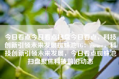 今日看点今日看点扫盘今日看点，科技创新引领未来发展蜘蛛池TG：zzcseo，科技创新引领未来发展，今日看点蜘蛛池扫盘聚焦科技前沿动态