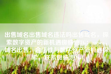 出售域名出售域名违法吗出售域名，探索数字资产的新机遇蜘蛛池TG：zzcseo，域名出售，合法性与数字资产新机遇探索，联系蜘蛛池TG