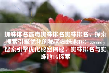 蜘蛛排名最毒蜘蛛排名蜘蛛排名，探索搜索引擎优化的秘密蜘蛛池TG：zzcseo，搜索引擎优化秘密揭秘，蜘蛛排名与蜘蛛池TG探索