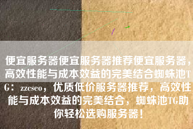 便宜服务器便宜服务器推荐便宜服务器，高效性能与成本效益的完美结合蜘蛛池TG：zzcseo，优质低价服务器推荐，高效性能与成本效益的完美结合，蜘蛛池TG助你轻松选购服务器！