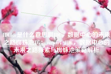 IDCidc是什么意思啊IDC，数据中心的未来之路蜘蛛池TG：zzcseo，IDC，数据中心的未来之路探索与蜘蛛池策略解析