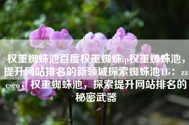 权重蜘蛛池百度权重蜘蛛ip权重蜘蛛池，提升网站排名的新领域探索蜘蛛池TG：zzcseo，权重蜘蛛池，探索提升网站排名的秘密武器