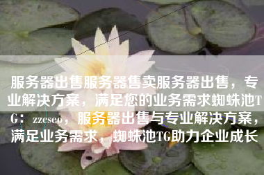 服务器出售服务器售卖服务器出售，专业解决方案，满足您的业务需求蜘蛛池TG：zzcseo，服务器出售与专业解决方案，满足业务需求，蜘蛛池TG助力企业成长
