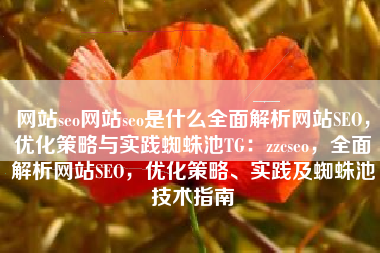 网站seo网站seo是什么全面解析网站SEO，优化策略与实践蜘蛛池TG：zzcseo，全面解析网站SEO，优化策略、实践及蜘蛛池技术指南