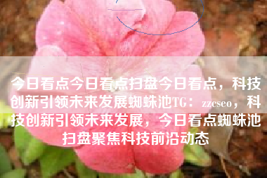 今日看点今日看点扫盘今日看点，科技创新引领未来发展蜘蛛池TG：zzcseo，科技创新引领未来发展，今日看点蜘蛛池扫盘聚焦科技前沿动态