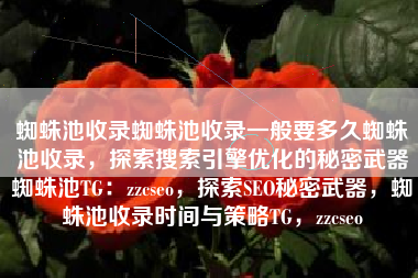 蜘蛛池收录蜘蛛池收录一般要多久蜘蛛池收录，探索搜索引擎优化的秘密武器蜘蛛池TG：zzcseo，探索SEO秘密武器，蜘蛛池收录时间与策略TG，zzcseo
