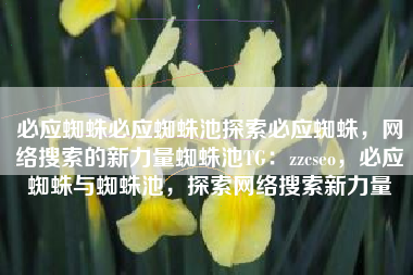 必应蜘蛛必应蜘蛛池探索必应蜘蛛，网络搜索的新力量蜘蛛池TG：zzcseo，必应蜘蛛与蜘蛛池，探索网络搜索新力量
