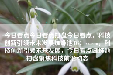 今日看点今日看点扫盘今日看点，科技创新引领未来发展蜘蛛池TG：zzcseo，科技创新引领未来发展，今日看点蜘蛛池扫盘聚焦科技前沿动态