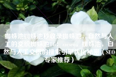 蜘蛛池蜘蛛池秒收录蜘蛛池，自然与人工的交织蜘蛛池TG：zzcseo，蜘蛛池，自然与人工交织的搜索引擎优化秘密（SEO专家推荐）