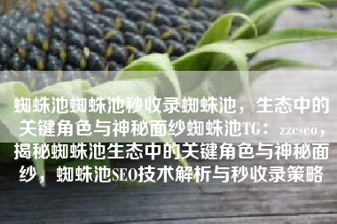 蜘蛛池蜘蛛池秒收录蜘蛛池，生态中的关键角色与神秘面纱蜘蛛池TG：zzcseo，揭秘蜘蛛池生态中的关键角色与神秘面纱，蜘蛛池SEO技术解析与秒收录策略