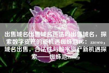 出售域名出售域名违法吗出售域名，探索数字资产的新机遇蜘蛛池TG：zzcseo，域名出售，合法性与数字资产新机遇探索——蜘蛛池zzcseo