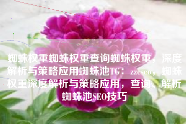 蜘蛛权重蜘蛛权重查询蜘蛛权重，深度解析与策略应用蜘蛛池TG：zzcseo，蜘蛛权重深度解析与策略应用，查询、解析蜘蛛池SEO技巧
