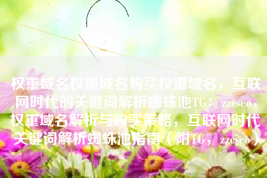 权重域名权重域名购买权重域名，互联网时代的关键词解析蜘蛛池TG：zzcseo，权重域名解析与购买策略，互联网时代关键词解析蜘蛛池指南（附TG，zzcseo）