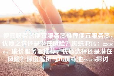 便宜服务器便宜服务器推荐便宜服务器，优质之选还是潜在风险？蜘蛛池TG：zzcseo，廉价服务器推荐，优质选择还是潜在风险？深度解析与TG蜘蛛池zzcseo探讨