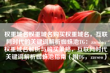 权重域名权重域名购买权重域名，互联网时代的关键词解析蜘蛛池TG：zzcseo，权重域名解析与购买策略，互联网时代关键词解析蜘蛛池指南（附TG，zzcseo）