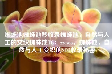 蜘蛛池蜘蛛池秒收录蜘蛛池，自然与人工的交织蜘蛛池TG：zzcseo，蜘蛛池，自然与人工交织的SEO收录秘密