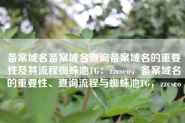 备案域名备案域名查询备案域名的重要性及其流程蜘蛛池TG：zzcseo，备案域名的重要性、查询流程与蜘蛛池TG，zzcseo