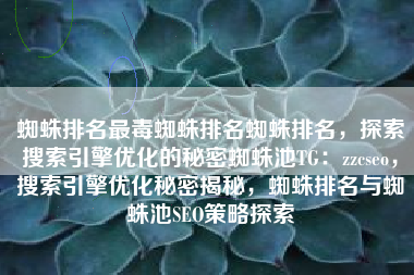 蜘蛛排名最毒蜘蛛排名蜘蛛排名，探索搜索引擎优化的秘密蜘蛛池TG：zzcseo，搜索引擎优化秘密揭秘，蜘蛛排名与蜘蛛池SEO策略探索