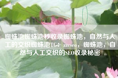 蜘蛛池蜘蛛池秒收录蜘蛛池，自然与人工的交织蜘蛛池TG：zzcseo，蜘蛛池，自然与人工交织的SEO收录秘密