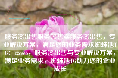 服务器出售服务器售卖服务器出售，专业解决方案，满足您的业务需求蜘蛛池TG：zzcseo，服务器出售与专业解决方案，满足业务需求，蜘蛛池TG助力您的企业成长