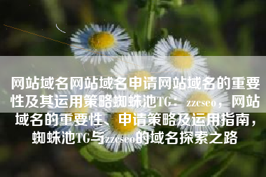 网站域名网站域名申请网站域名的重要性及其运用策略蜘蛛池TG：zzcseo，网站域名的重要性、申请策略及运用指南，蜘蛛池TG与zzcseo的域名探索之路