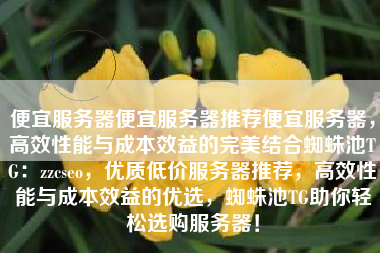 便宜服务器便宜服务器推荐便宜服务器，高效性能与成本效益的完美结合蜘蛛池TG：zzcseo，优质低价服务器推荐，高效性能与成本效益的优选，蜘蛛池TG助你轻松选购服务器！