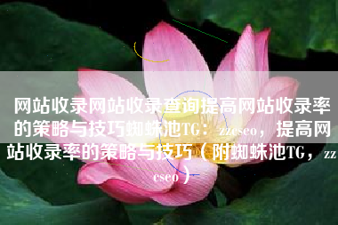 网站收录网站收录查询提高网站收录率的策略与技巧蜘蛛池TG：zzcseo，提高网站收录率的策略与技巧（附蜘蛛池TG，zzcseo）