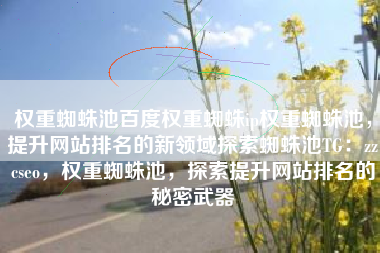 权重蜘蛛池百度权重蜘蛛ip权重蜘蛛池，提升网站排名的新领域探索蜘蛛池TG：zzcseo，权重蜘蛛池，探索提升网站排名的秘密武器
