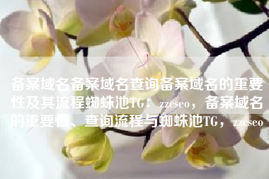 备案域名备案域名查询备案域名的重要性及其流程蜘蛛池TG：zzcseo，备案域名的重要性、查询流程与蜘蛛池TG，zzcseo