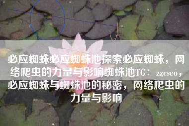 必应蜘蛛必应蜘蛛池探索必应蜘蛛，网络爬虫的力量与影响蜘蛛池TG：zzcseo，必应蜘蛛与蜘蛛池的秘密，网络爬虫的力量与影响