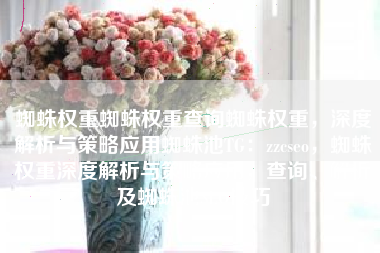 蜘蛛权重蜘蛛权重查询蜘蛛权重，深度解析与策略应用蜘蛛池TG：zzcseo，蜘蛛权重深度解析与策略应用，查询、解析及蜘蛛池SEO技巧
