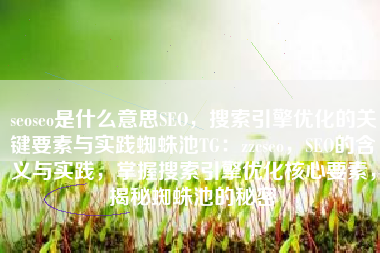 seoseo是什么意思SEO，搜索引擎优化的关键要素与实践蜘蛛池TG：zzcseo，SEO的含义与实践，掌握搜索引擎优化核心要素，揭秘蜘蛛池的秘密
