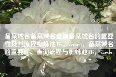 备案域名备案域名查询备案域名的重要性及其流程蜘蛛池TG：zzcseo，备案域名的重要性、查询流程与蜘蛛池TG，zzcseo