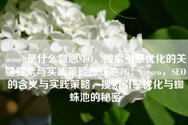 seoseo是什么意思SEO，搜索引擎优化的关键要素与实践策略蜘蛛池TG：zzcseo，SEO的含义与实践策略，搜索引擎优化与蜘蛛池的秘密