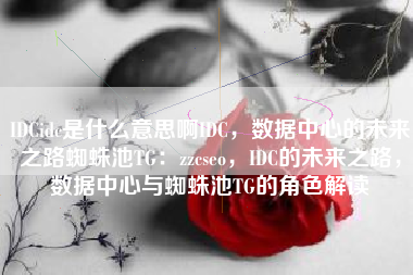 IDCidc是什么意思啊IDC，数据中心的未来之路蜘蛛池TG：zzcseo，IDC的未来之路，数据中心与蜘蛛池TG的角色解读