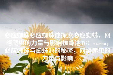 必应蜘蛛必应蜘蛛池探索必应蜘蛛，网络爬虫的力量与影响蜘蛛池TG：zzcseo，必应蜘蛛与蜘蛛池的秘密，网络爬虫的力量与影响