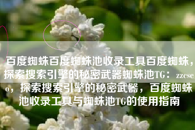 百度蜘蛛百度蜘蛛池收录工具百度蜘蛛，探索搜索引擎的秘密武器蜘蛛池TG：zzcseo，探索搜索引擎的秘密武器，百度蜘蛛池收录工具与蜘蛛池TG的使用指南