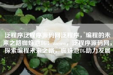 泛程序泛程序源码网泛程序，编程的未来之路蜘蛛池TG：zzcseo，泛程序源码网，探索编程未来之路，蜘蛛池TG助力发展