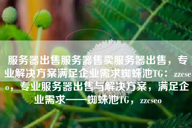 服务器出售服务器售卖服务器出售，专业解决方案满足企业需求蜘蛛池TG：zzcseo，专业服务器出售与解决方案，满足企业需求——蜘蛛池TG，zzcseo