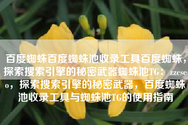 百度蜘蛛百度蜘蛛池收录工具百度蜘蛛，探索搜索引擎的秘密武器蜘蛛池TG：zzcseo，探索搜索引擎的秘密武器，百度蜘蛛池收录工具与蜘蛛池TG的使用指南