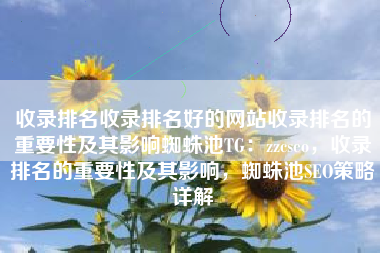 收录排名收录排名好的网站收录排名的重要性及其影响蜘蛛池TG：zzcseo，收录排名的重要性及其影响，蜘蛛池SEO策略详解
